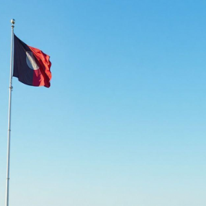 Preço Mastro para Bandeira: O Guia Definitivo Preço Mastro para Bandeira: O Guia Definitivo