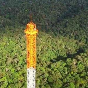 Torre florestal: gigante para quem vê; imensurável para quem opera! Torre florestal: gigante para quem vê; imensurável para quem opera!