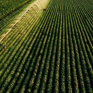 Torres Anemométricas para o Setor Agrícola