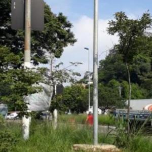 Como Encontrar o Melhor Mastro Preço em geral Como Encontrar o Melhor Mastro Preço em geral